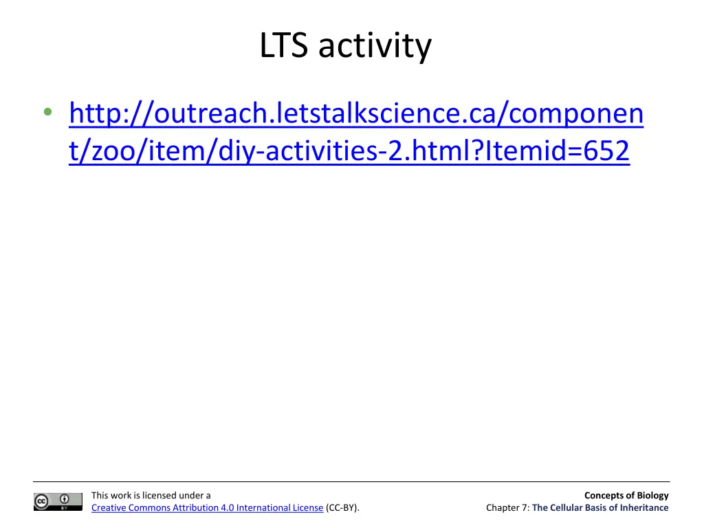 lts activity