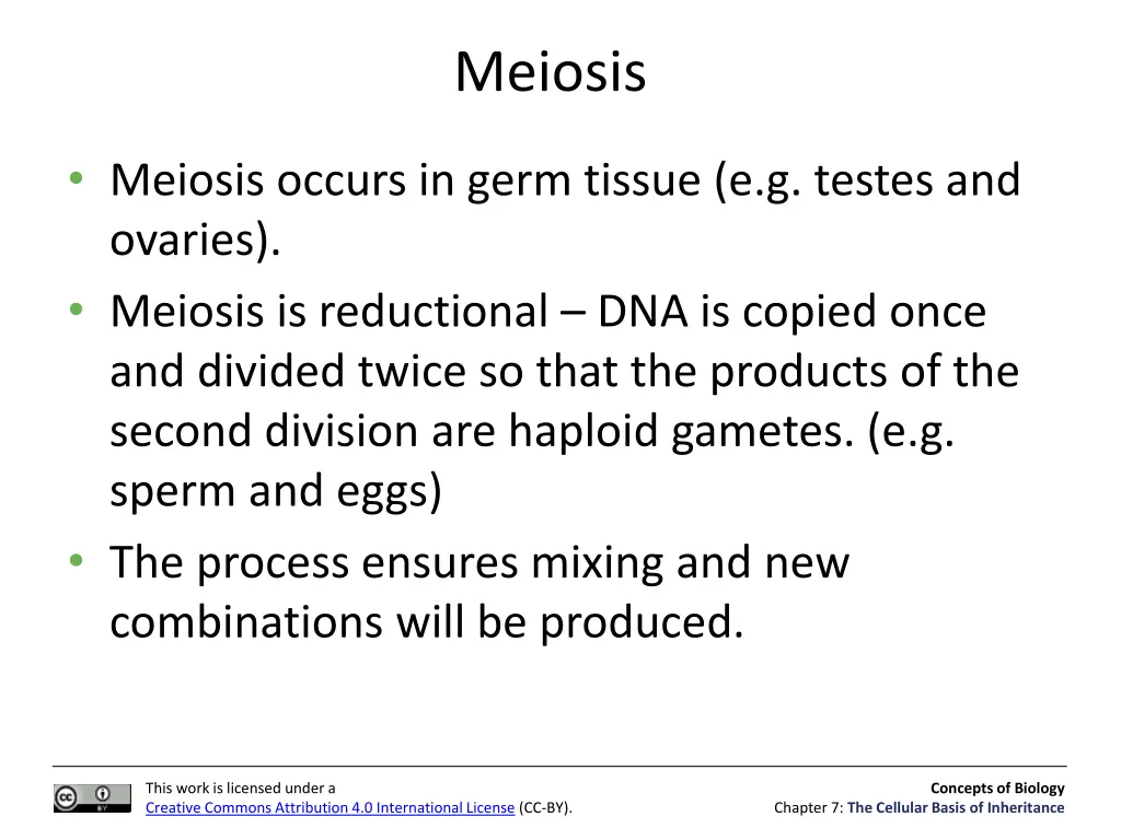 meiosis