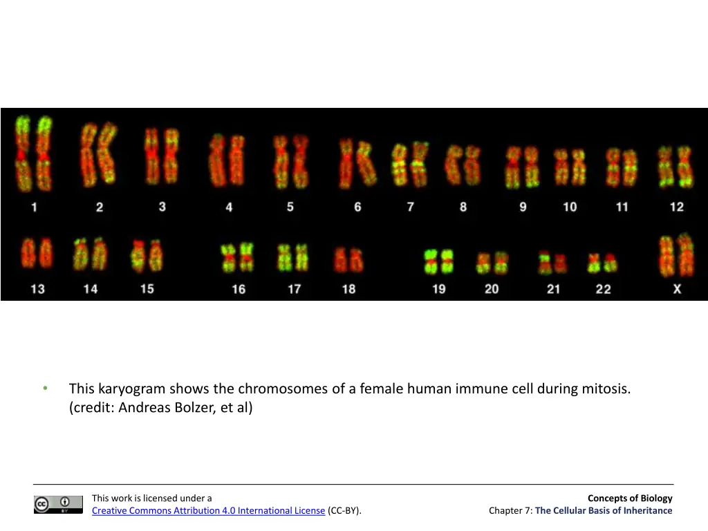 slide18