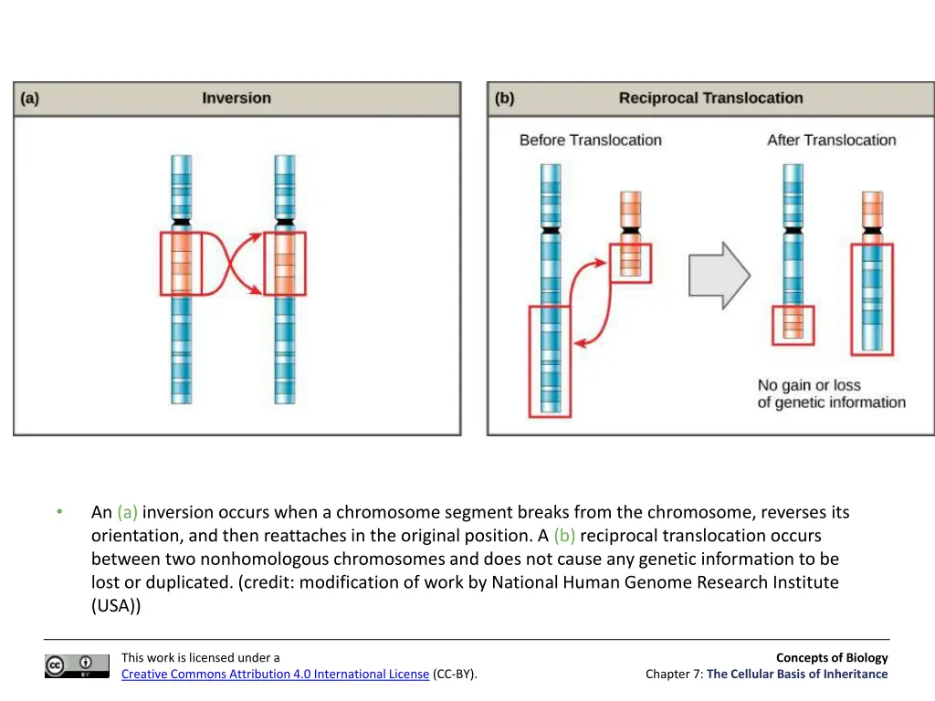 slide28