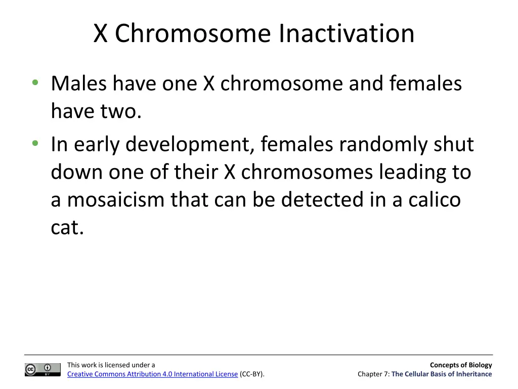 x chromosome inactivation