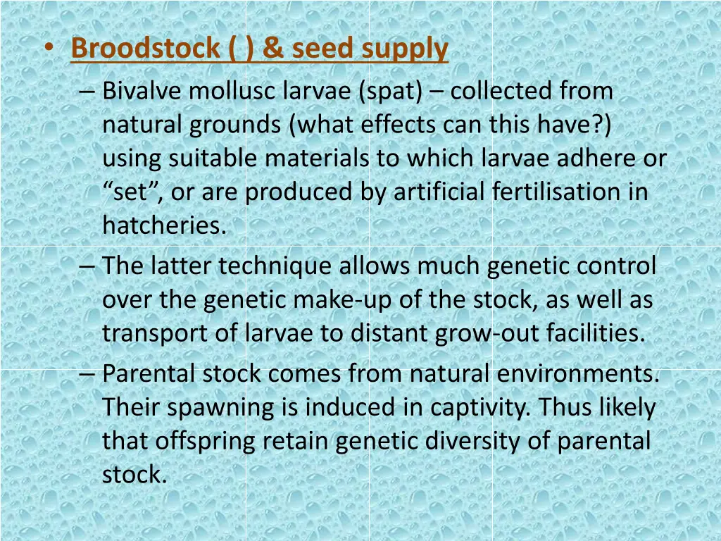 broodstock seed supply bivalve mollusc larvae