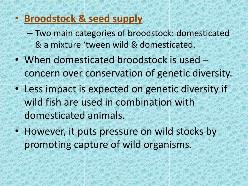 broodstock seed supply two main categories