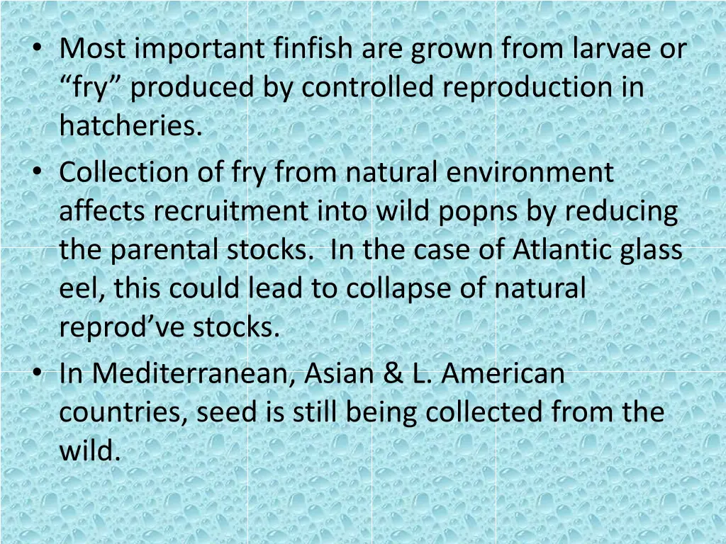 most important finfish are grown from larvae