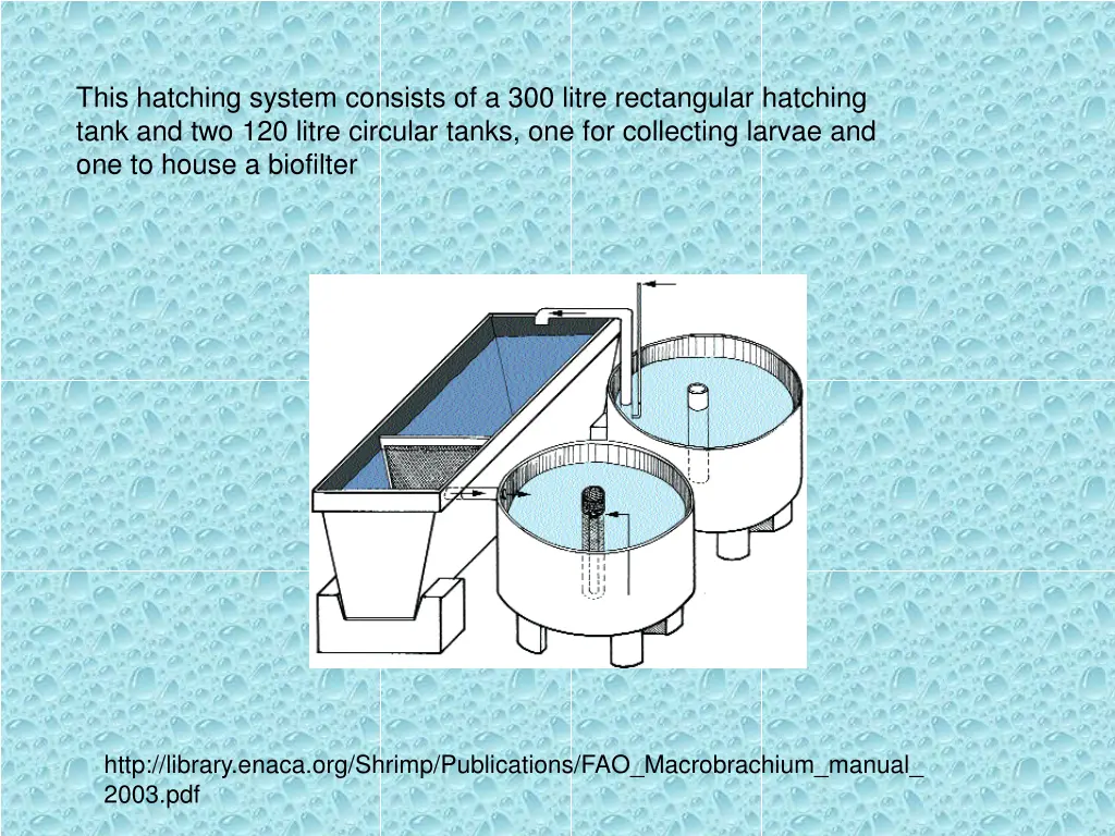 this hatching system consists of a 300 litre