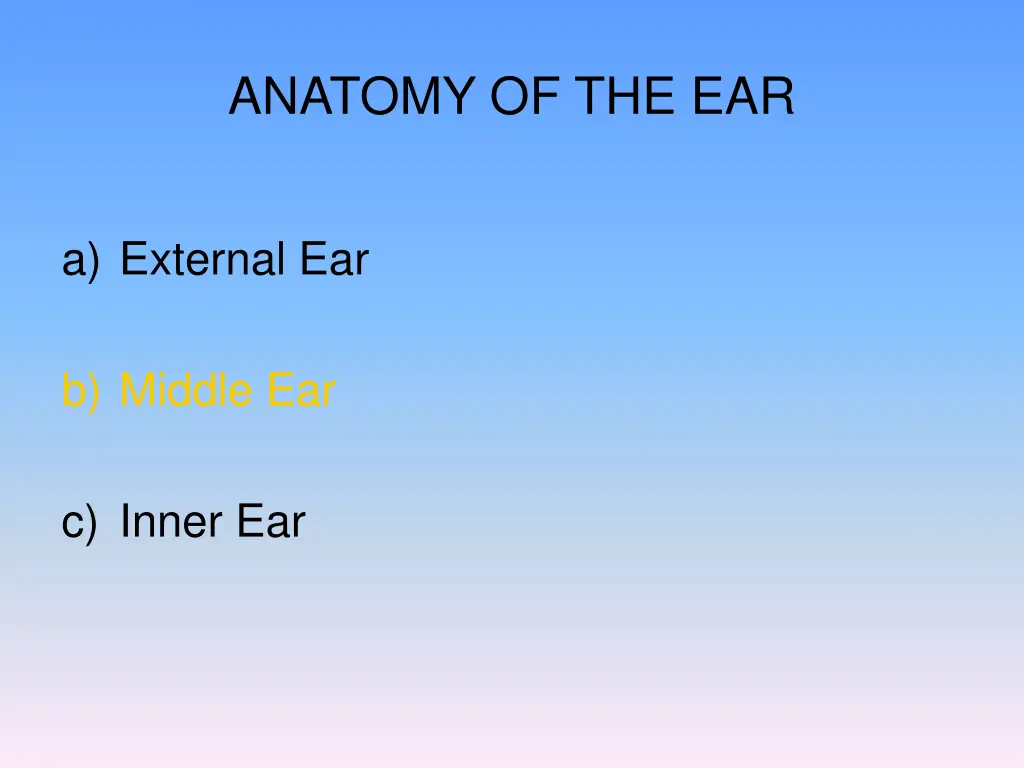 anatomy of the ear 1