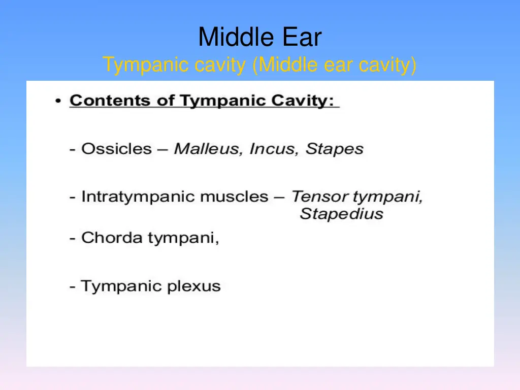 middle ear 6