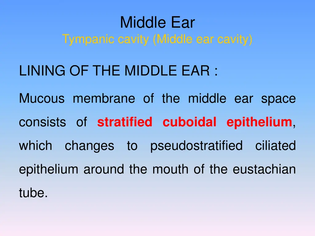 middle ear 8