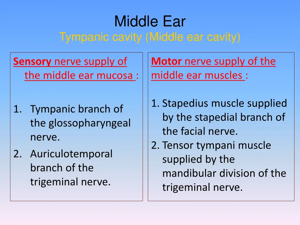 middle ear 9