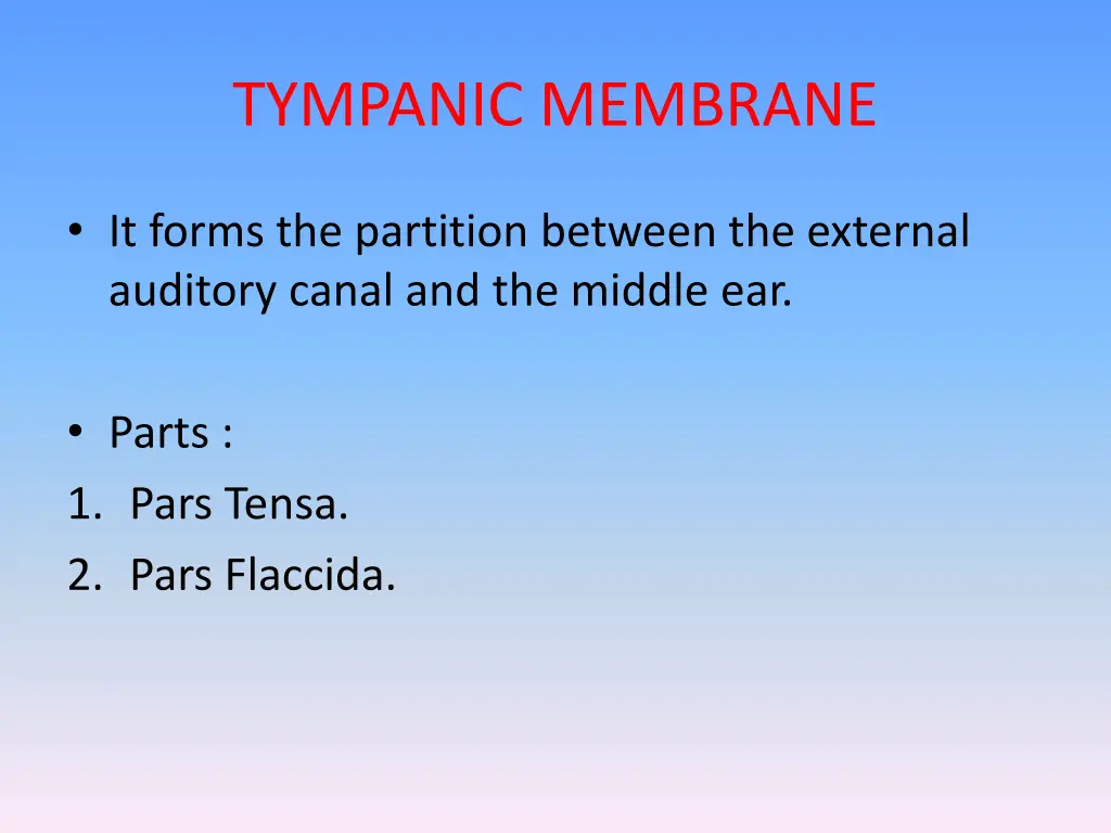 tympanic membrane