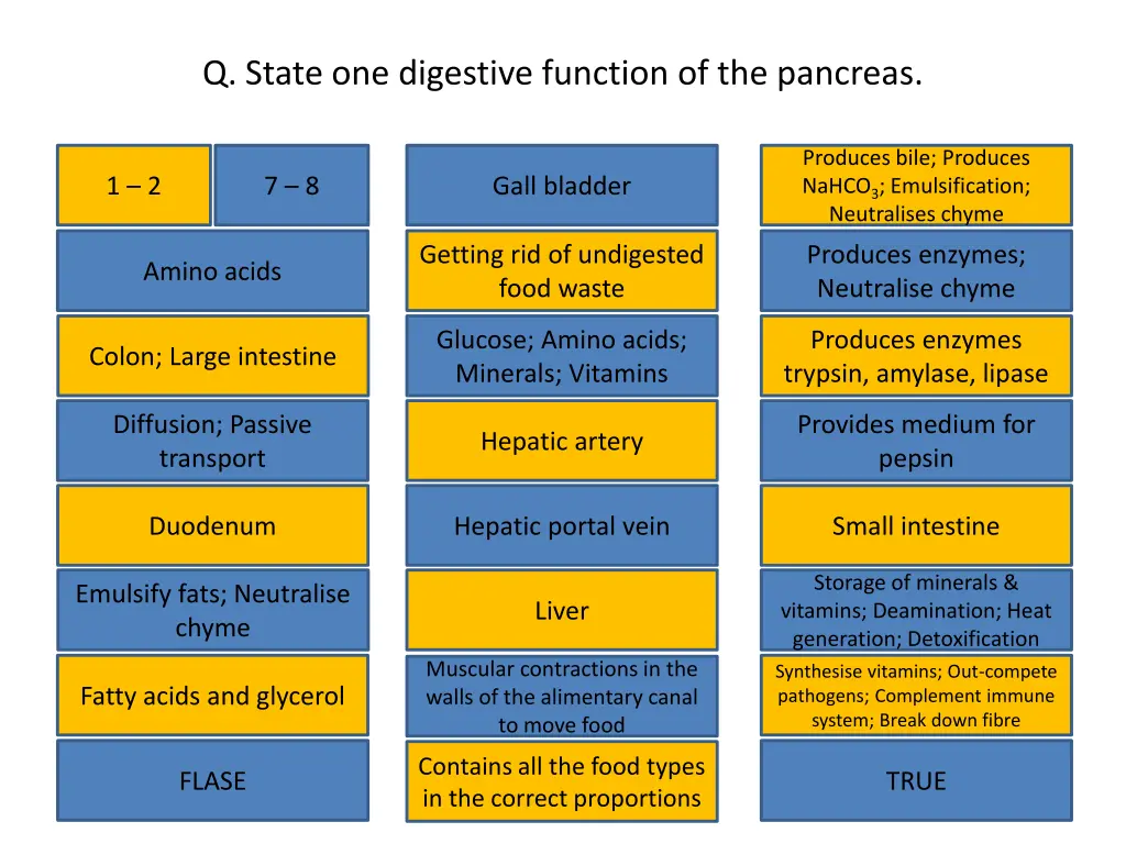 q state one digestive function of the pancreas