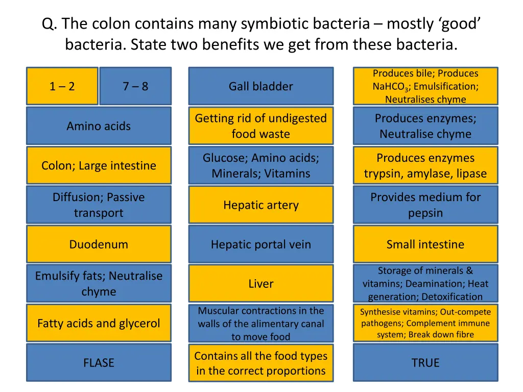 q the colon contains many symbiotic bacteria