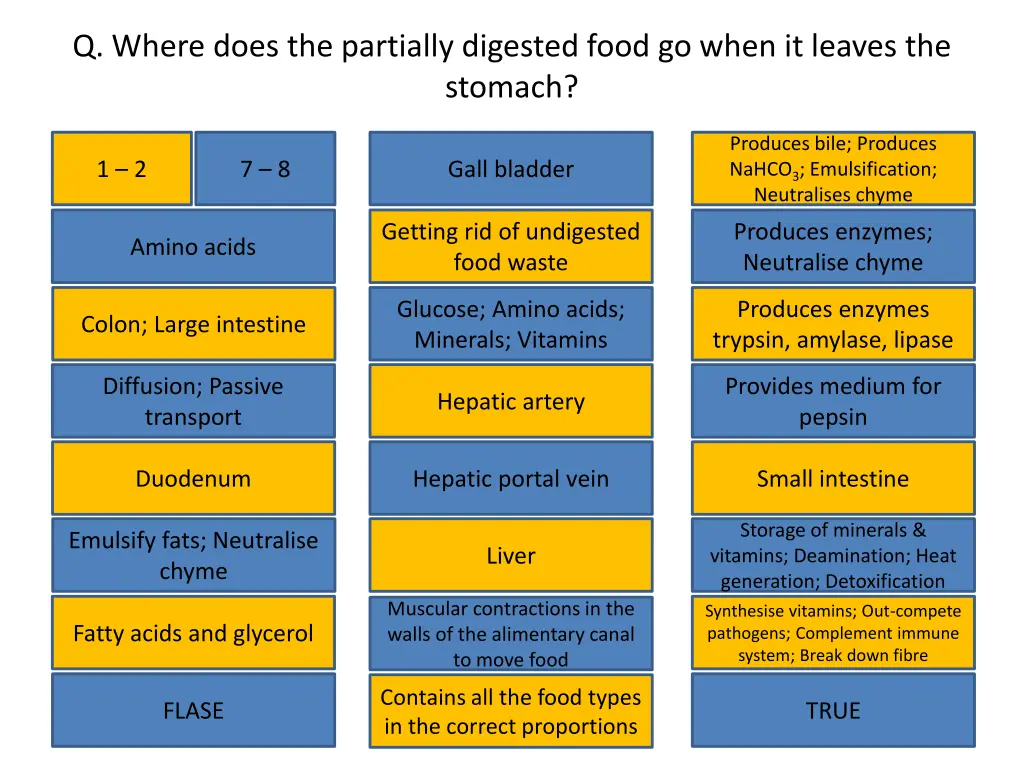 q where does the partially digested food go when