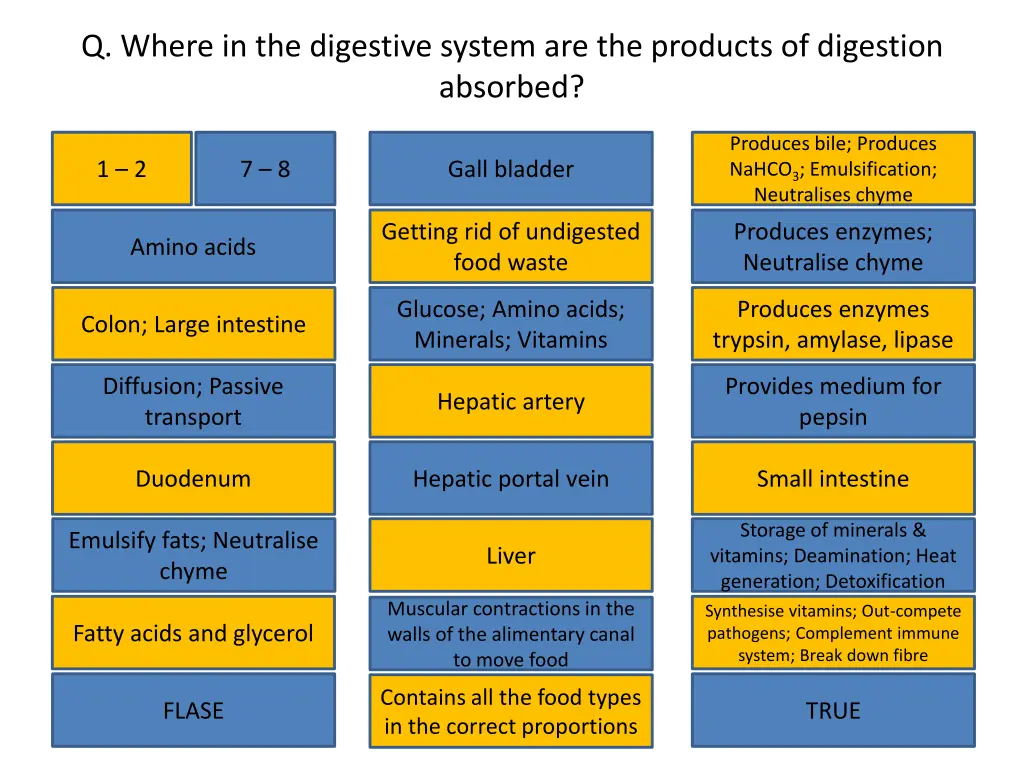 q where in the digestive system are the products