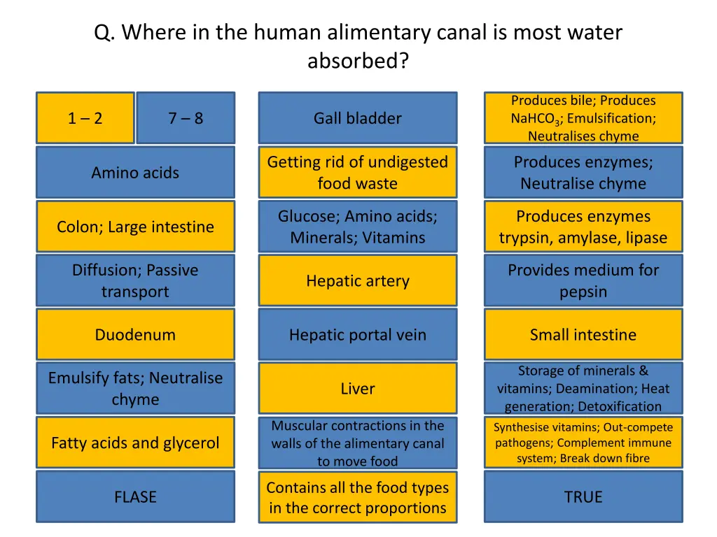 q where in the human alimentary canal is most