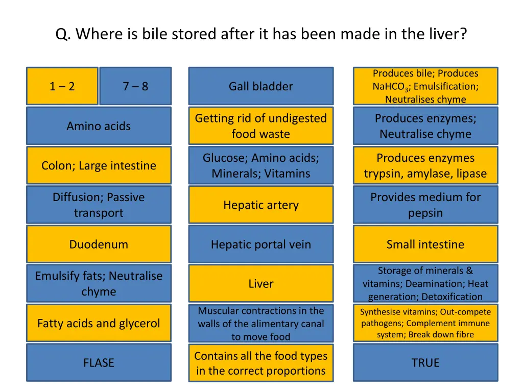 q where is bile stored after it has been made