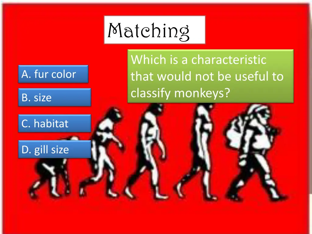 matching 3