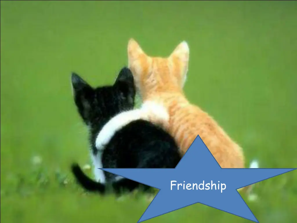 friendship