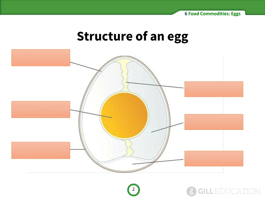 6 food commodities eggs 1