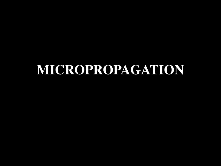 micropropagation