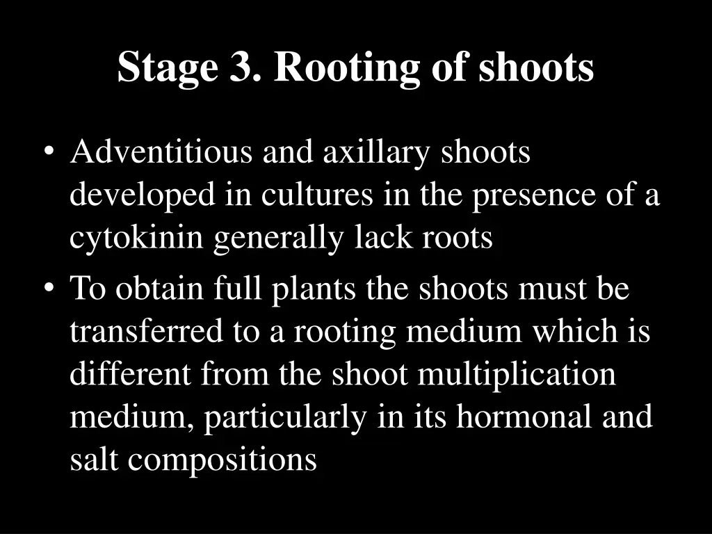 stage 3 rooting of shoots