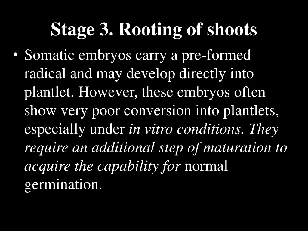 stage 3 rooting of shoots somatic embryos carry