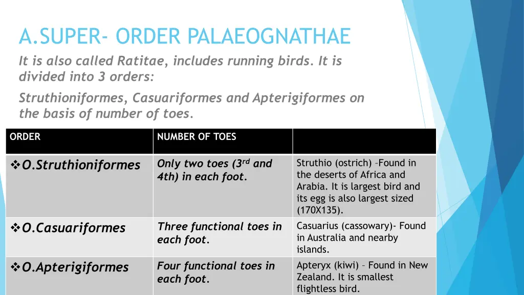 a super order palaeognathae it is also called