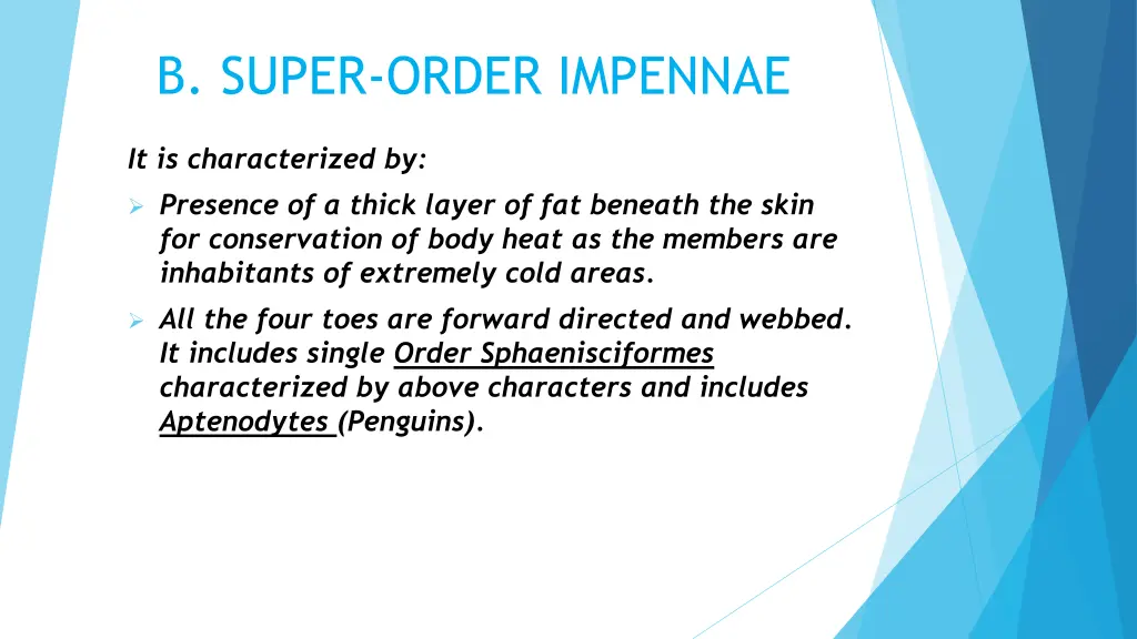 b super order impennae