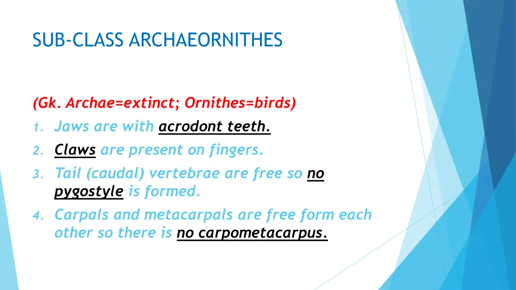 sub class archaeornithes