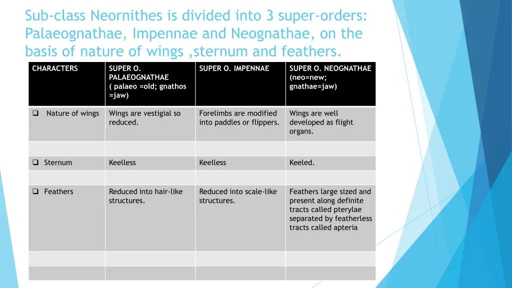 sub class neornithes is divided into 3 super