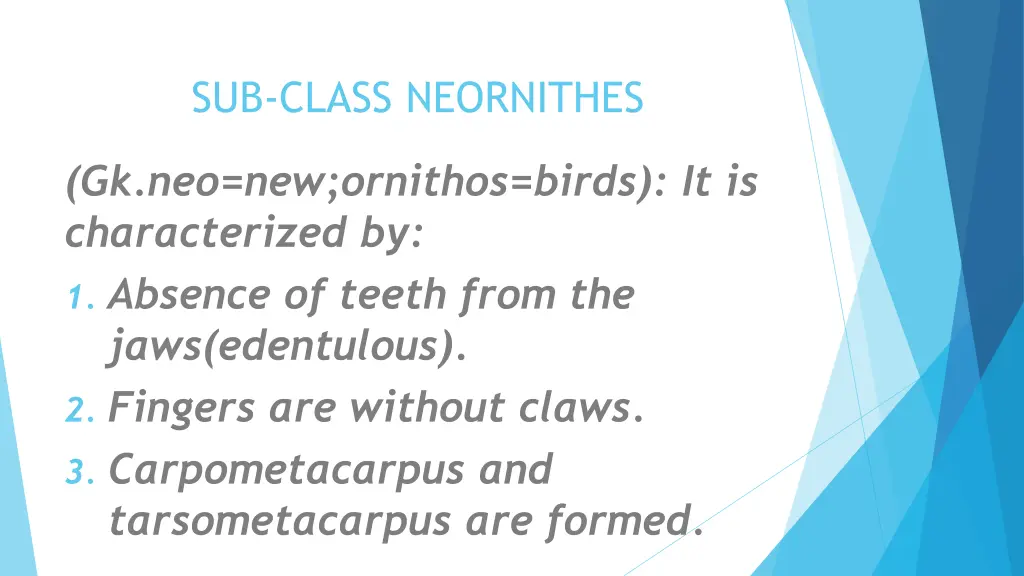 sub class neornithes