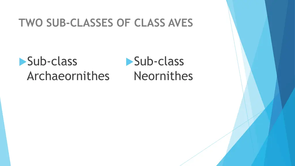 two sub classes of class aves