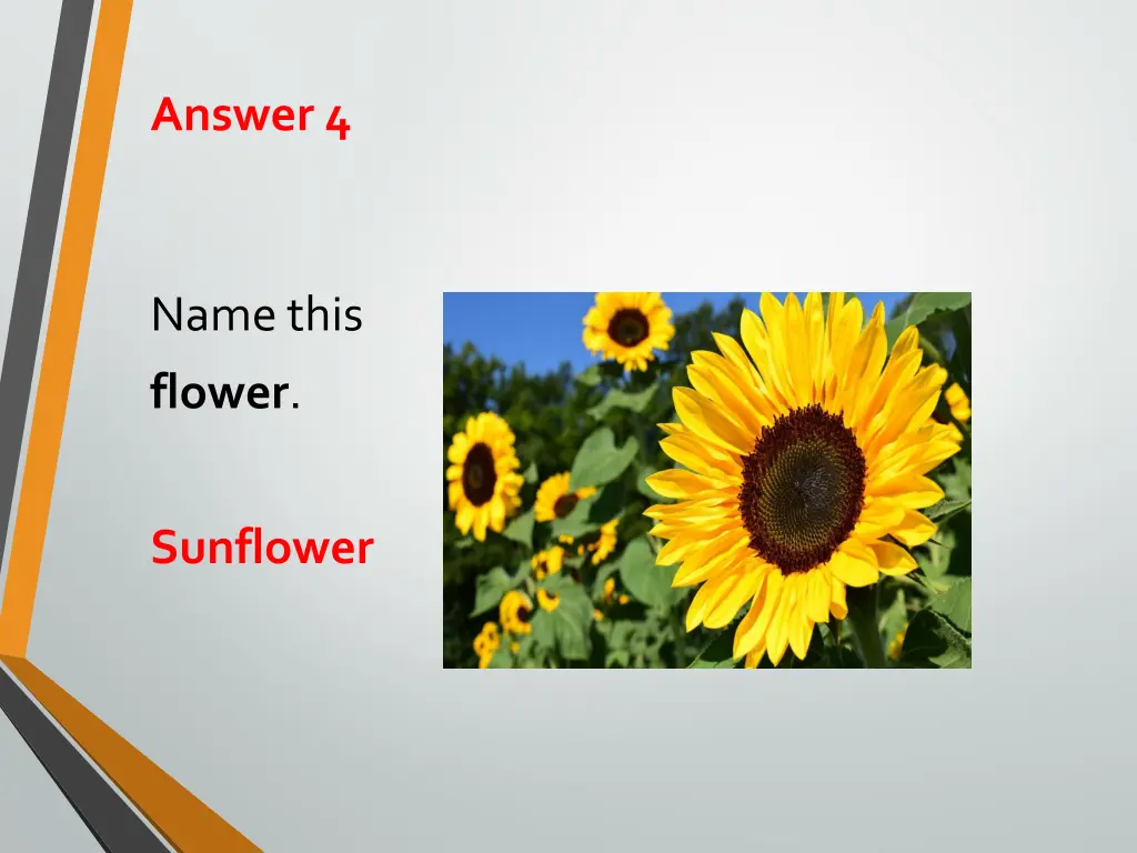 answer 4