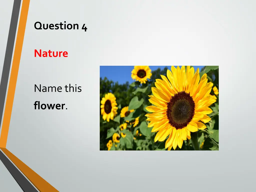 question 4