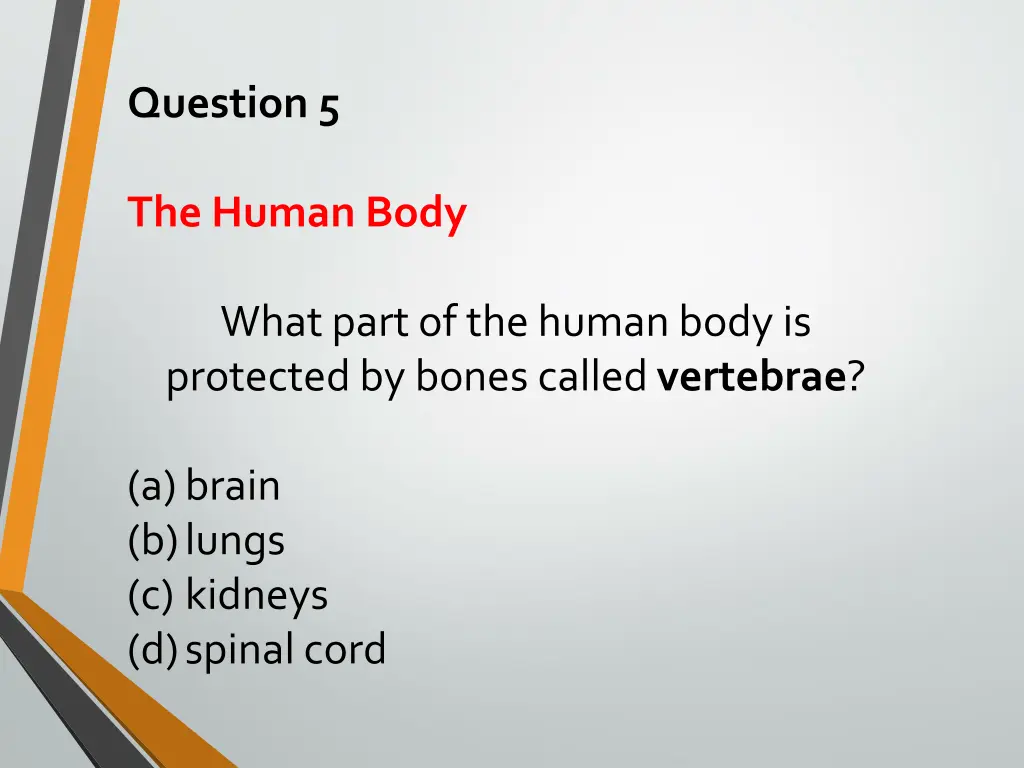 question 5