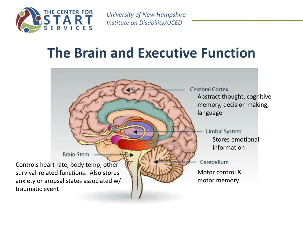 university of new hampshire institute 13