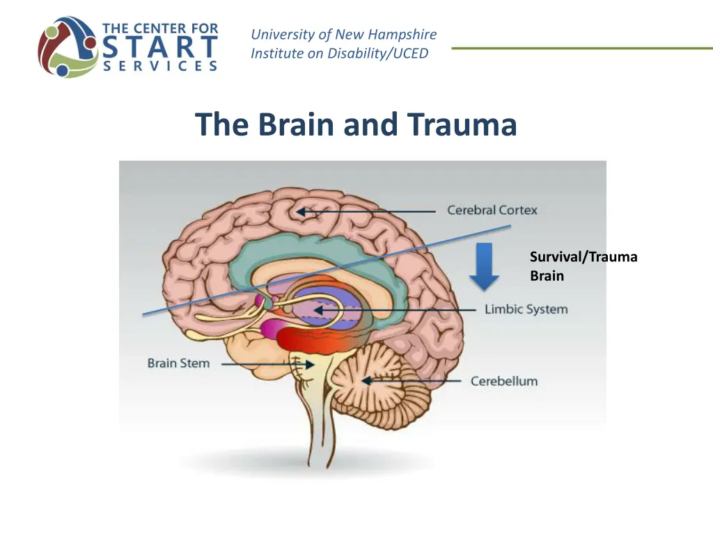 university of new hampshire institute 16