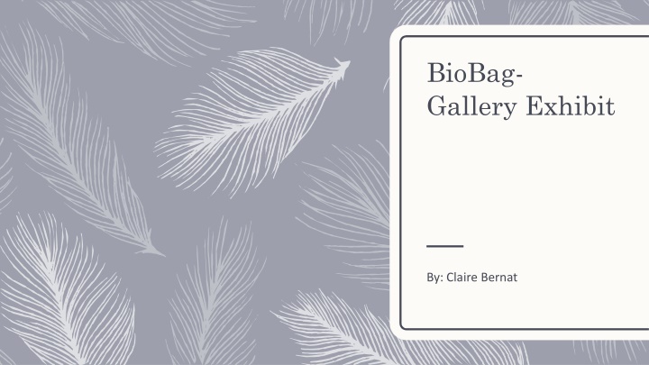 biobag gallery exhibit