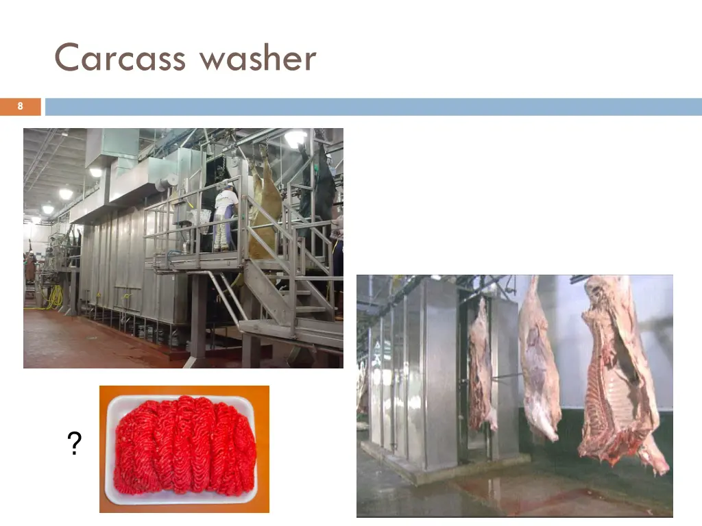 carcass washer