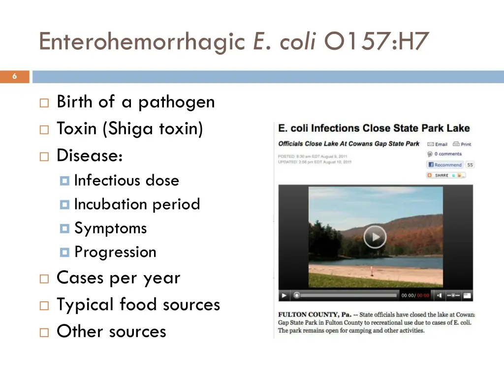 enterohemorrhagic e coli o157 h7