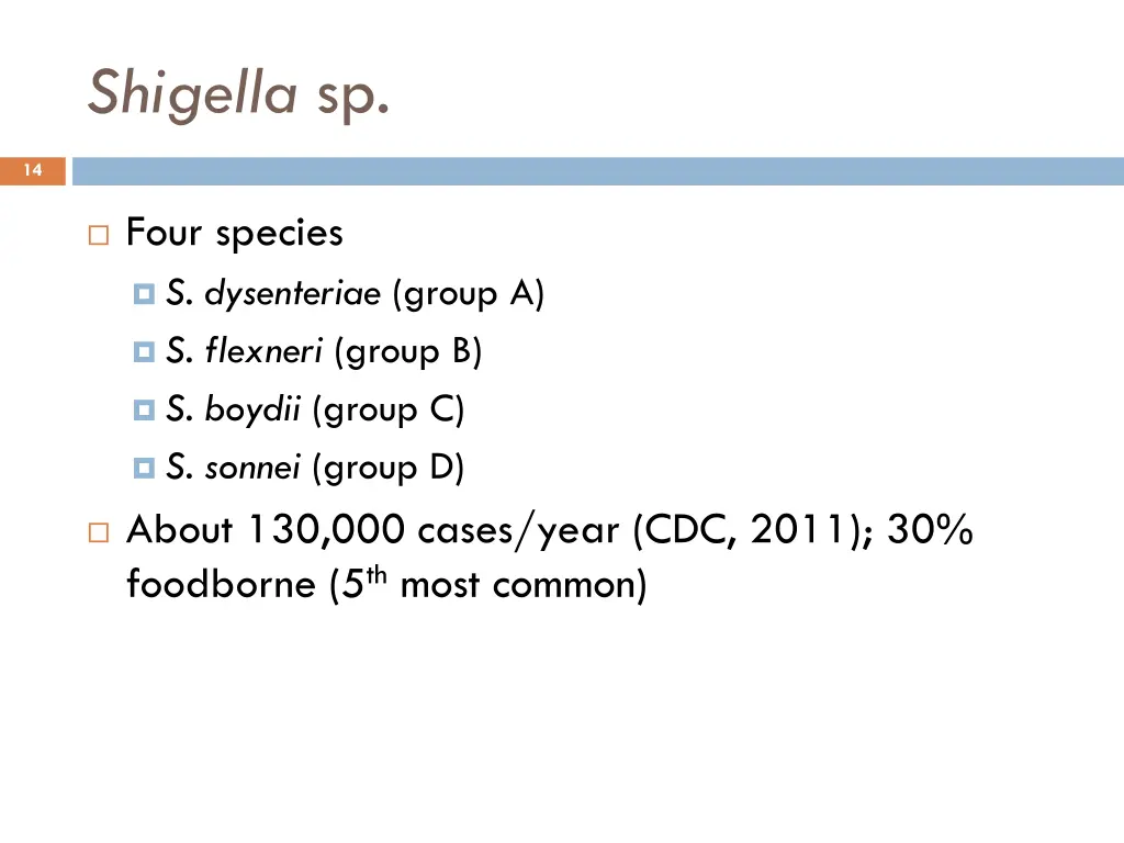 shigella sp