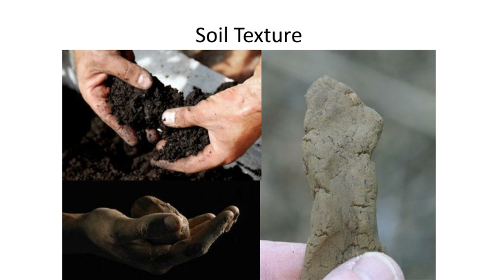 soil texture