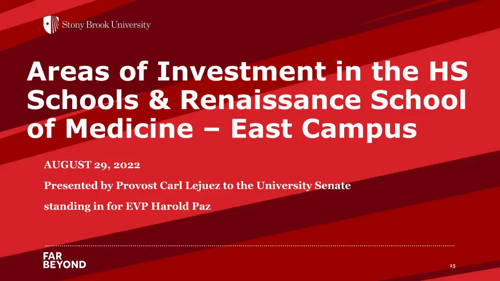 areas of investment in the hs schools renaissance