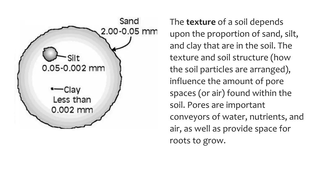 the texture of a soil depends upon the proportion