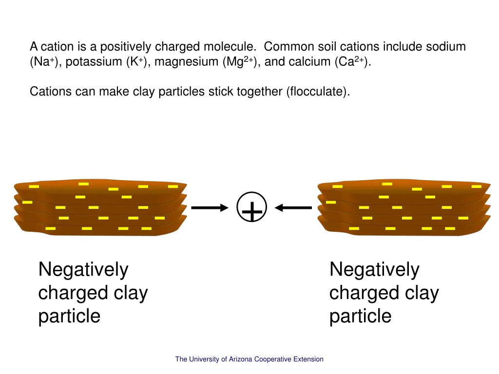 a cation is a positively charged molecule common