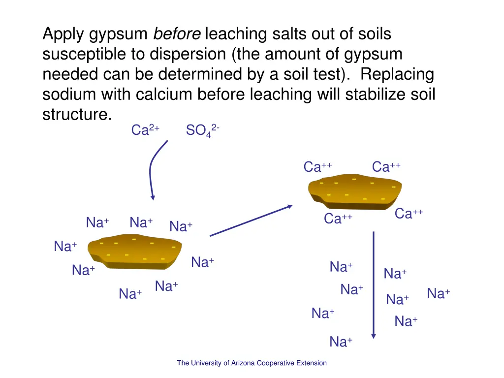 apply gypsum before leaching salts out of soils