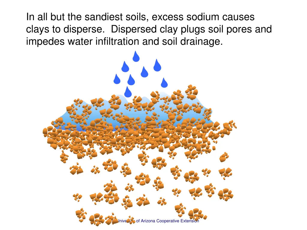 in all but the sandiest soils excess sodium