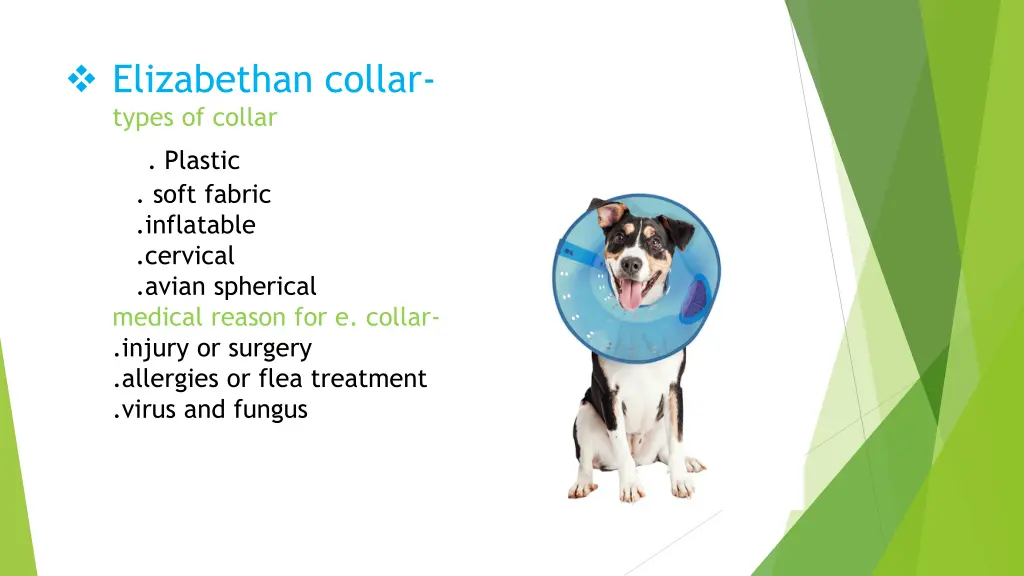 elizabethan collar types of collar plastic soft