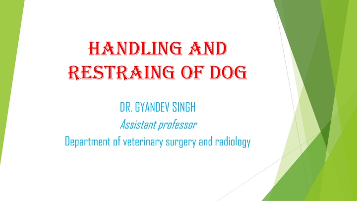 handling and restraing of dog