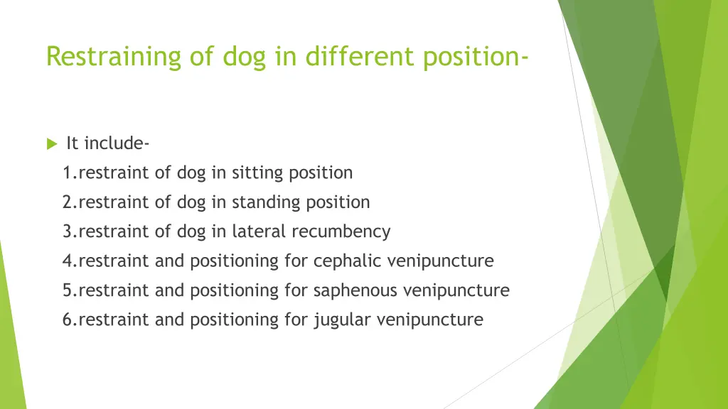 restraining of dog in different position